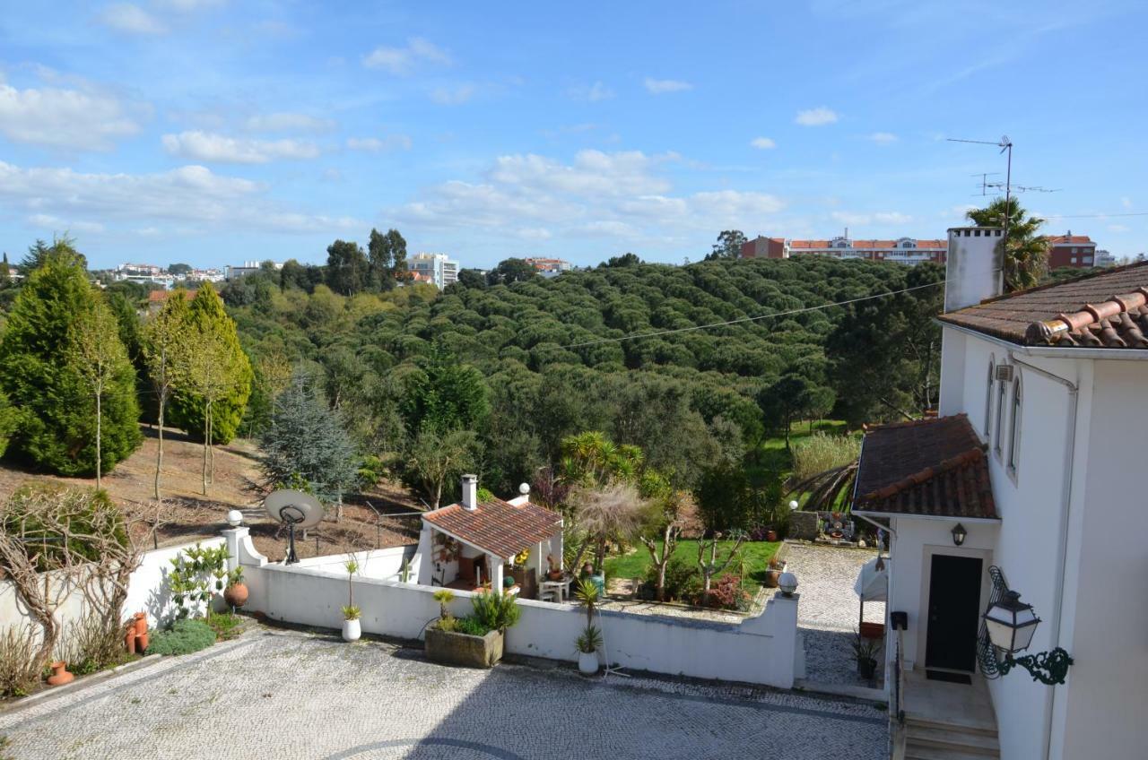 Casa Da Palmeira レイリア エクステリア 写真