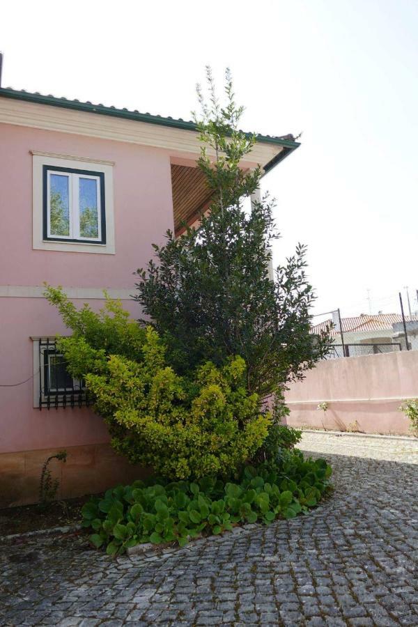 Casa Da Palmeira レイリア エクステリア 写真
